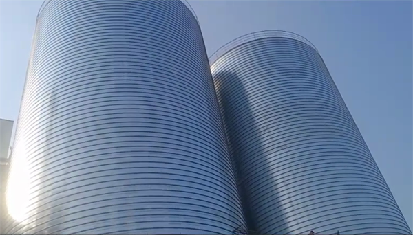 团风2座混凝土高架卷板仓